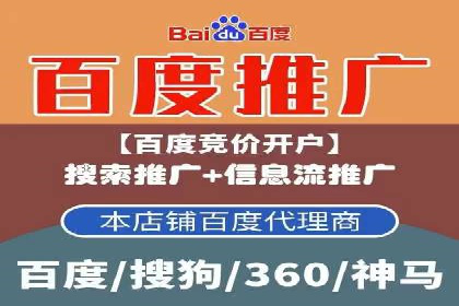 不同平台下的关键词竞价排名策略比较与案例分析